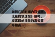 如何在短时间内获得高流量的快速提升策略,提高网站流量的高效策略指南