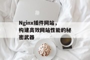 Nginx插件网站，构建高效网站性能的秘密武器