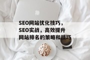 SEO网站优化技巧,SEO实战,高效提升网站排名的策略和技巧 SEO网站优化技巧,SEO实战,高效提升网站排名的策略和技巧