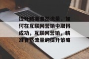 提升精准自然流量,如何在互联网营销中取得成功,互联网营销,精准自然流量的提升策略