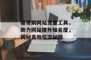 菲奇刷网站流量工具,助力网站提升知名度,揭秘高效引流秘籍 菲奇刷网站流量工具,助力网站提升知名度,揭秘高效引流秘籍
