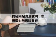 揭秘网站流量收购,市场潜力与风险并存 揭秘网站流量收购,市场潜力与风险并存