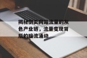 揭秘倒卖网站流量的灰色产业链，流量变现背后的暗流涌动