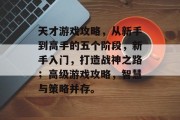 天才游戏攻略，从新手到高手的五个阶段，新手入门，打造战神之路；高级游戏攻略，智慧与策略并存。