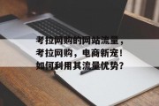 考拉网购的网站流量，考拉网购，电商新宠！如何利用其流量优势？