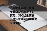 SEO优化实战，提升专业SEO网站排名的策略，SEO优化实战，提升专业网站排名的关键策略