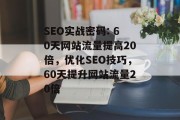 SEO实战密码: 60天网站流量提高20倍,优化SEO技巧,60天提升网站流量20倍