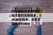 DNS解析技术揭秘网站流量的关键因素，DNS解析技术，流量关键因素的揭秘