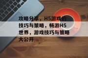 攻略分享，H5游戏的技巧与策略，畅游H5世界，游戏技巧与策略大公开