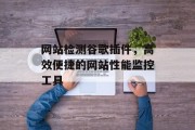 网站检测谷歌插件，高效便捷的网站性能监控工具