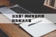 没流量?揭秘背后的原因及解决方案 没流量?揭秘背后的原因及解决方案