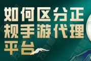 代理网络游戏平台(代理网络游戏平台有哪些)