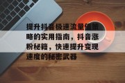 提升抖音极速流量值策略的实用指南,抖音涨粉秘籍,快速提升变现速度的秘密武器