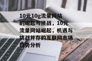 10元10g流量网站的崛起与挑战，10元流量网站崛起，机遇与挑战并存的互联网市场趋势分析