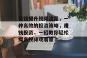 花钱提升视频流量，一种高效的投资策略，赚钱投资，一招教你轻松提高视频观看量