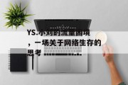 YS.小刘的流量困境,一场关于网络生存的思考 YS.小刘的流量困境,一场关于网络生存的思考