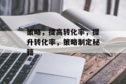 策略，提高转化率，提升转化率，策略制定秘籍
