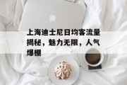 上海迪士尼日均客流量揭秘,魅力无限,人气爆棚 上海迪士尼日均客流量揭秘,魅力无限,人气爆棚