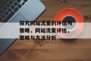 探究网站流量的评估与策略，网站流量评估，策略与方法分析