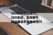 SEO网站优化技巧,SEO实战,高效提升网站排名的策略和技巧