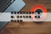 搭建电商网站案例，策略、技术与市场，电商网站案例