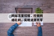 网站流量招租，挖掘网络红利，实现资源共享