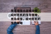 荒岛求生小游戏攻略，应对危机的生存策略，荒岛求生，应对危机的生存策略