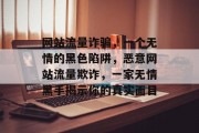 网站流量诈骗，一个无情的黑色陷阱，恶意网站流量欺诈，一家无情黑手揭示你的真实面目
