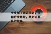 专业加工网站排名,揭秘行业翘楚,助力企业高效发展 专业加工网站排名,揭秘行业翘楚,助力企业高效发展