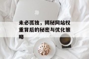 未必孤独，揭秘网站权重背后的秘密与优化策略