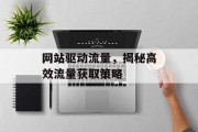 网站驱动流量，揭秘高效流量获取策略