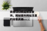狼雨SEO网站排名查询，揭秘提升网站流量的秘密武器
