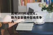 昆明SEO网站优化，助力企业提升在线竞争力