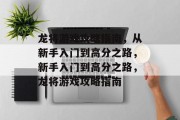 龙将游戏攻略指南，从新手入门到高分之路，新手入门到高分之路，龙将游戏攻略指南