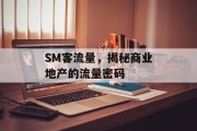 SM客流量,揭秘商业地产的流量密码 SM客流量,揭秘商业地产的流量密码