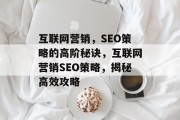 互联网营销，SEO策略的高阶秘诀，互联网营销SEO策略，揭秘高效攻略