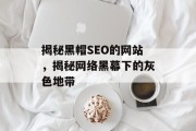 揭秘黑帽SEO的网站，揭秘网络黑幕下的灰色地带