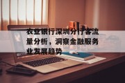 农业银行深圳分行客流量分析,洞察金融服务业发展趋势 农业银行深圳分行客流量分析,洞察金融服务业发展趋势