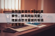 自然流量提升等级的重要性,提高网站流量,理解自然流量提升等级的重要性