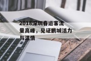 2018深圳春运客流量高峰,见证鹏城活力与温情 2018深圳春运客流量高峰,见证鹏城活力与温情
