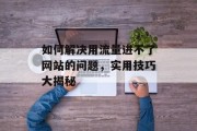 如何解决用流量进不了网站的问题,实用技巧大揭秘 如何解决用流量进不了网站的问题,实用技巧大揭秘