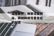 深度解析，观察流量网站，揭秘网络流量背后的秘密