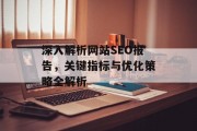 深入解析网站SEO报告，关键指标与优化策略全解析