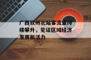 广西钦州北站客流量持续攀升,见证区域经济发展新活力 广西钦州北站客流量持续攀升,见证区域经济发展新活力