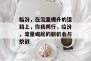 临汾,在流量提升的道路上,你我同行,临汾,流量崛起的新机会与挑战 临汾,在流量提升的道路上,你我同行,临汾,流量崛起的新机会与挑战