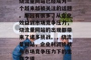 烧流量网站已经成为一个越来越被关注的话题。原因有很多，从企业效益到市场竞争压力，烧流量网站的出现都带来了诸多挑战。，烧流量网站，企业利润挑战与市场竞争压力下的生存之道