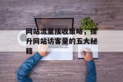 网站流量接收策略,提升网站访客量的五大秘籍 网站流量接收策略,提升网站访客量的五大秘籍