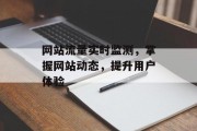 网站流量实时监测,掌握网站动态,提升用户体验 网站流量实时监测,掌握网站动态,提升用户体验
