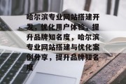 哈尔滨专业网站搭建开发，优化用户体验，提升品牌知名度，哈尔滨专业网站搭建与优化案例分享，提升品牌知名度