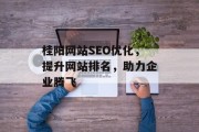 桂阳网站SEO优化，提升网站排名，助力企业腾飞